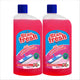 Stanfresh Super Disinfectant Floor Cleaner - Rose 500ml (Pack of 2)